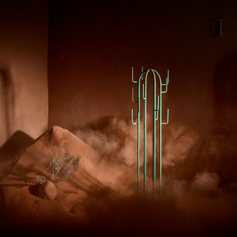 photo d'ambiance présentant le porte manteau cactus