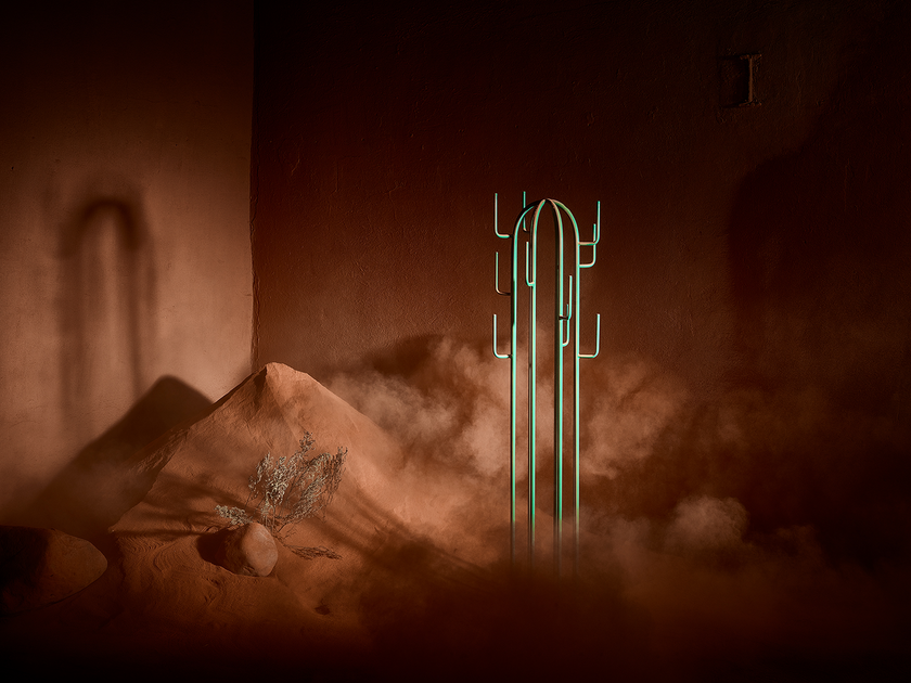 photo d'ambiance présentant le porte manteau cactus