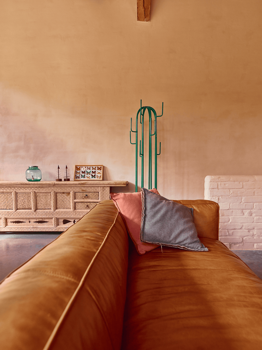 Photo du produit porte manteau cactus