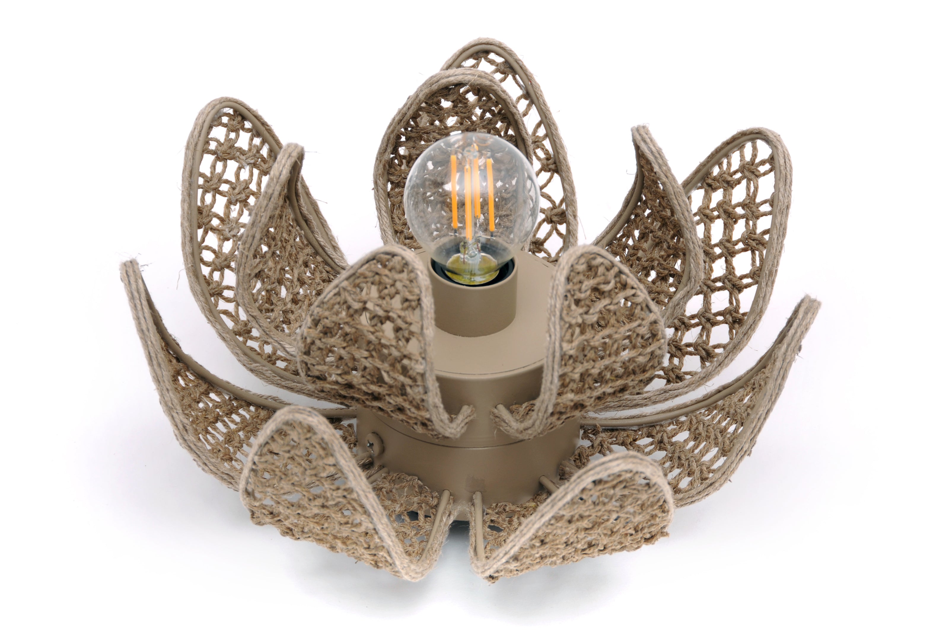 PETITE SUSPENSION NYMPHAEA