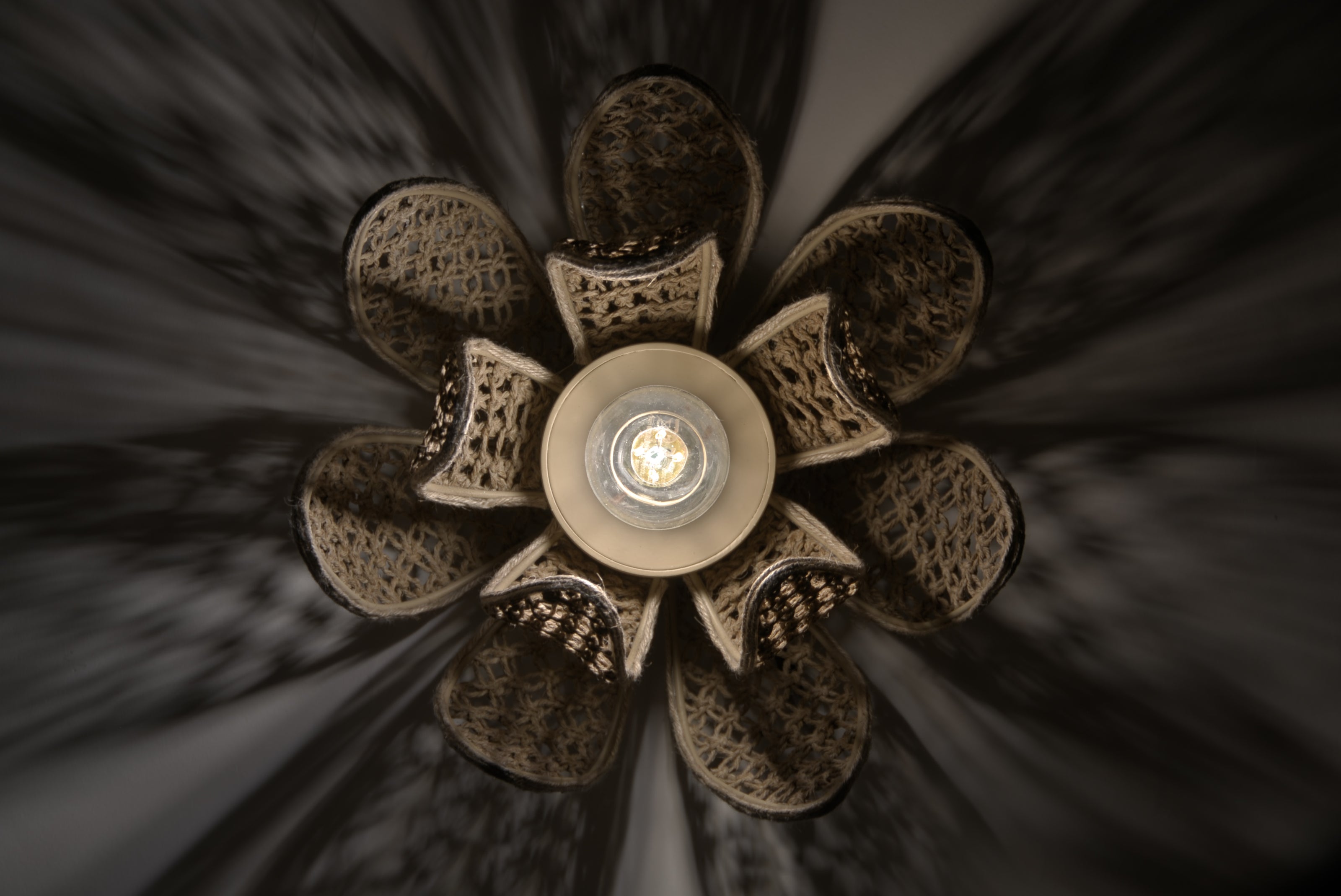 PETITE SUSPENSION NYMPHAEA