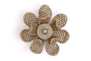 MAŁA WODA LIMPHAEA WISZĄCA