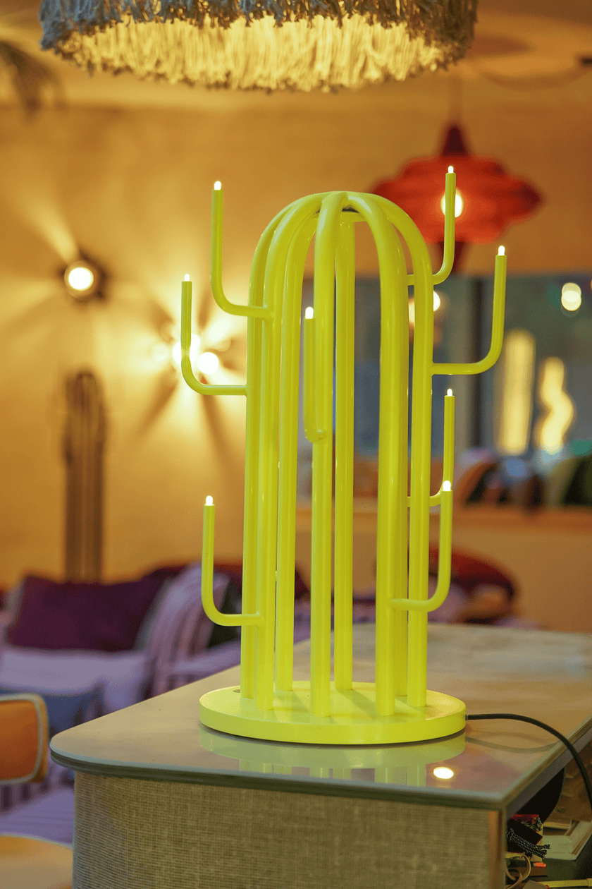 Photo du produit lampe cactus