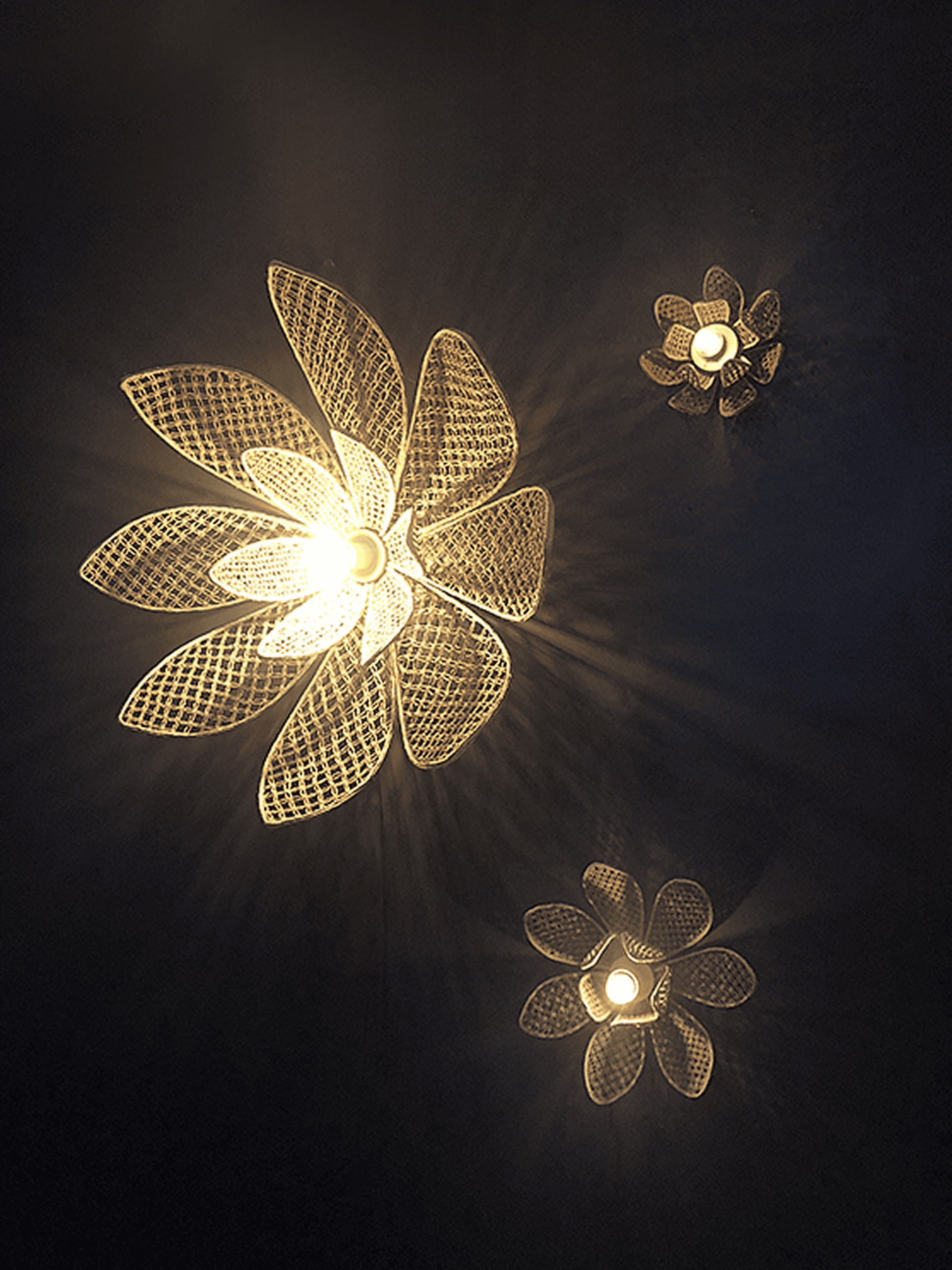 Photo du produit applique et suspension nymphaea