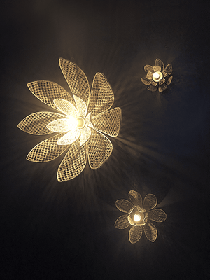 Photo du produit applique et suspension nymphaea