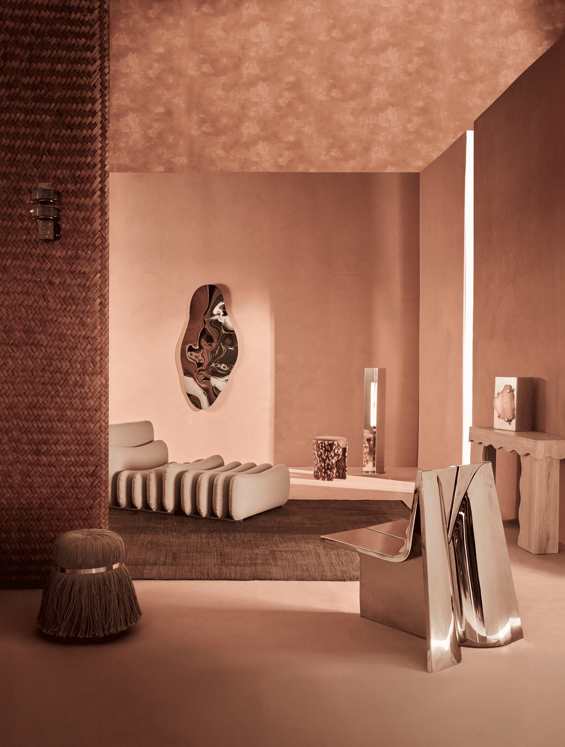 Photo du produit poux pollux