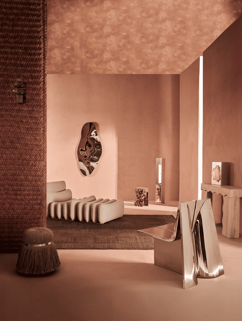 Photo du produit poux pollux