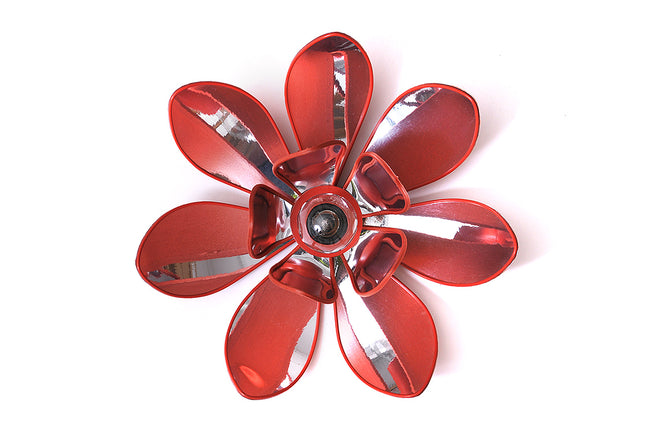 MOYENNE SUSPENSION NYMPHAEA