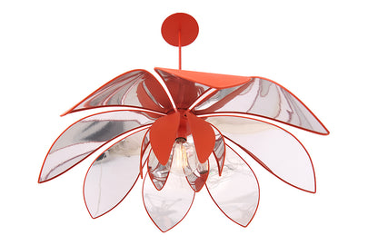 DUŻE NYMFAE WISZĄCE