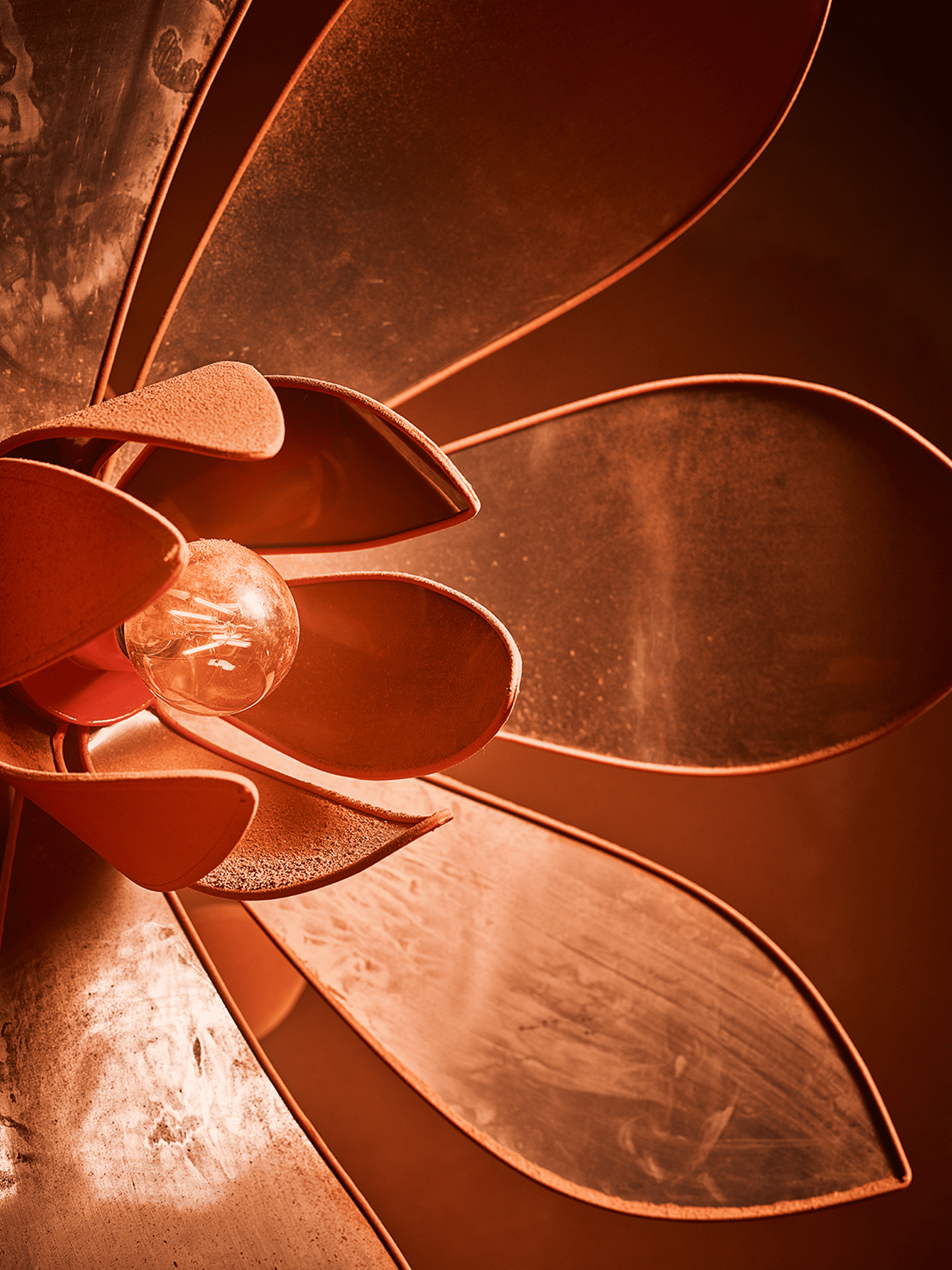 Photo du produit lampadaire rebutia