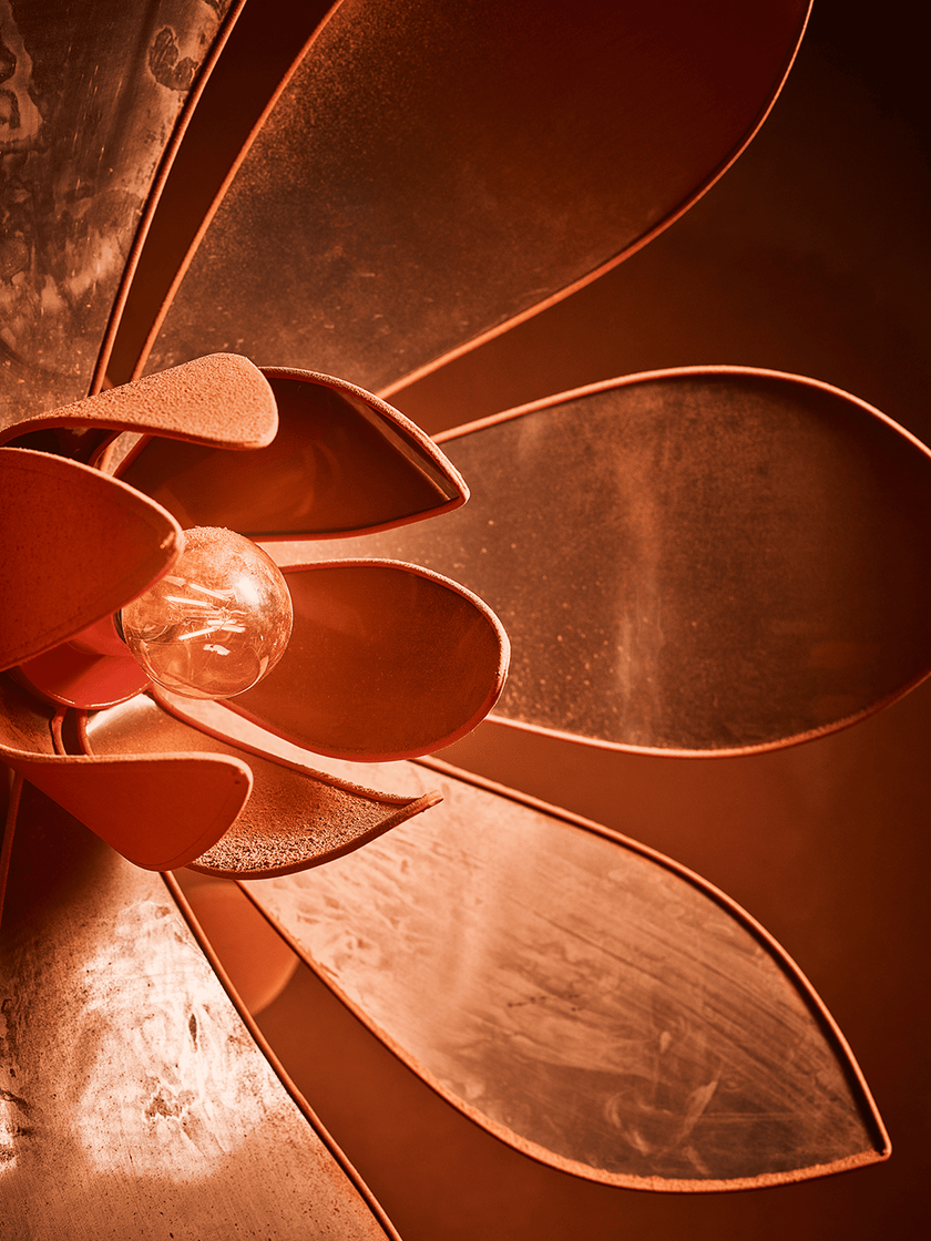 Photo du produit lampadaire rebutia