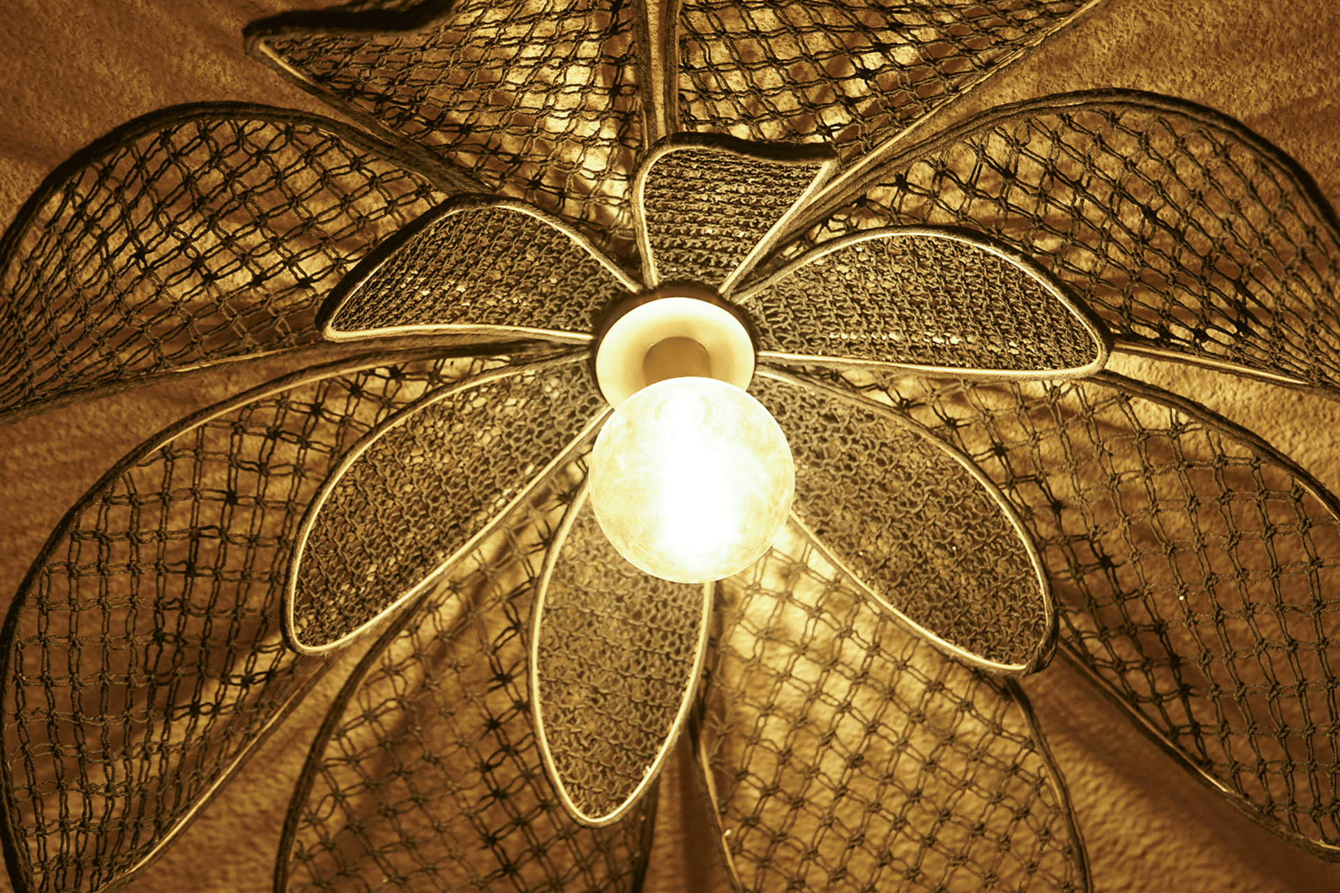 Photo du produit suspension  Nymphea