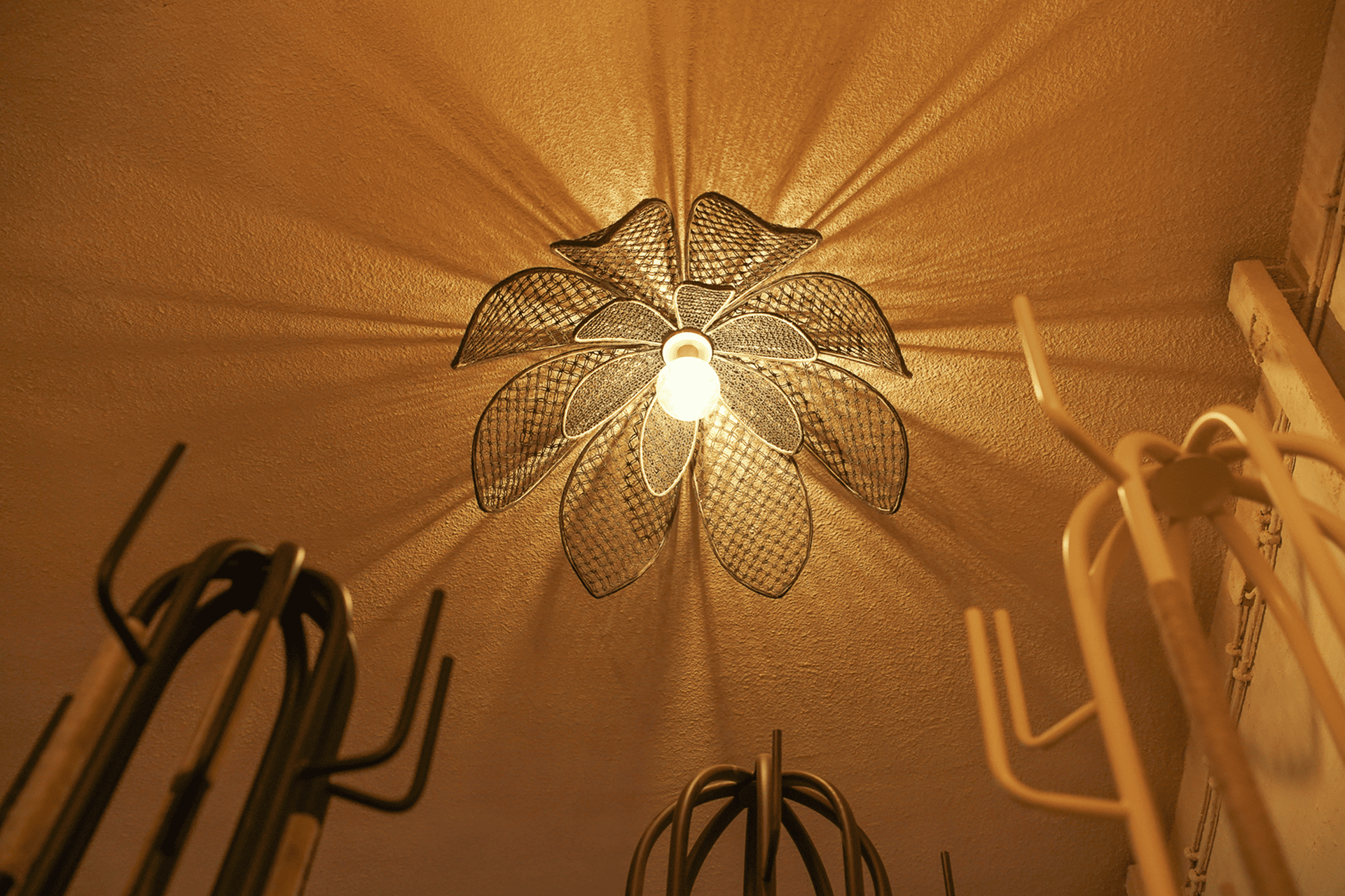 Photo du produit suspension Nymphea